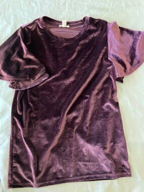 Purple Velvet Flutter Sleeve Top